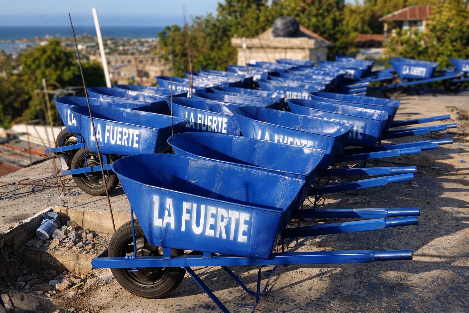 Imagen principal de Carretilla LA FUERTE